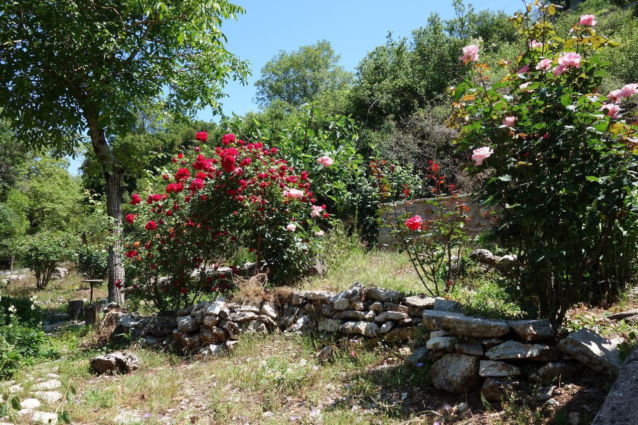 Andrea Sofi Guesthouse Dimitsana Exterior photo