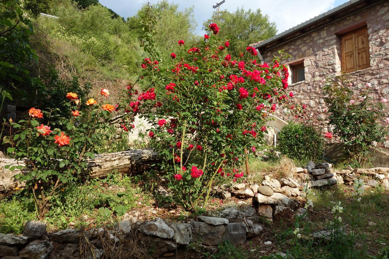 Andrea Sofi Guesthouse Dimitsana Exterior photo